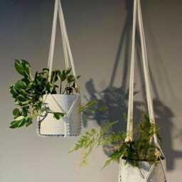 Adjustable Macrame Plant Hanger No Tassel Indoor, Hanging Planter, Indoor Wall - thumbnail 2