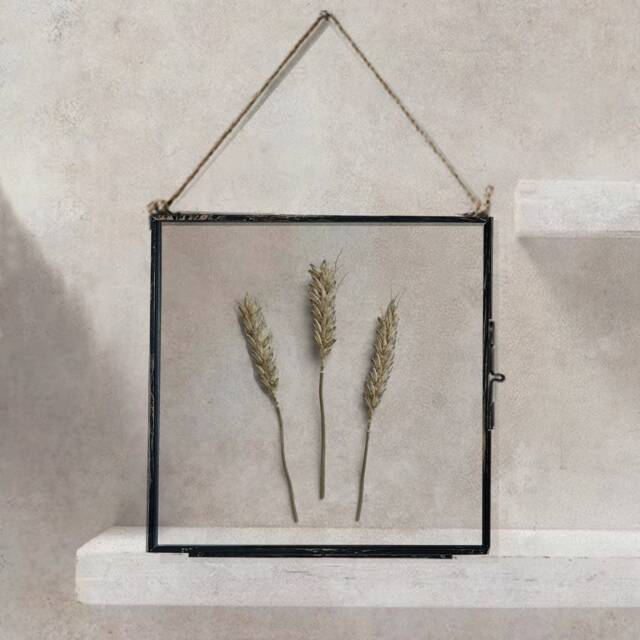 Dried Wheat in Hanging Glass Frame, Pressed Flower Framed Herbarium, Home Decor Wall Art, Housewarming Gift For Best Friend - image 1