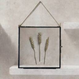 Dried Wheat in Hanging Glass Frame, Pressed Flower Framed Herbarium, Home Decor Wall Art, Housewarming Gift For Best Friend - thumbnail 1