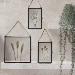 Dried Wheat in Hanging Glass Frame, Pressed Flower Framed Herbarium, Home Decor Wall Art, Housewarming Gift For Best Friend - thumbnail 2