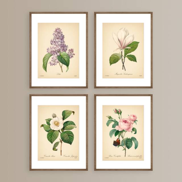 Vintage Botanical Prints Set Of 4 Flowers Posters Rose Magnolia Flower Print Art Mother's Day Gift - image 1