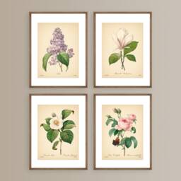 Vintage Botanical Prints Set Of 4 Flowers Posters Rose Magnolia Flower Print Art Mother's Day Gift - thumbnail 1