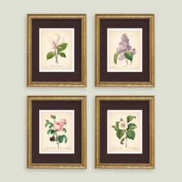 Vintage Botanical Prints Set Of 4 Flowers Posters Rose Magnolia Flower Print Art Mother's Day Gift - thumbnail 3