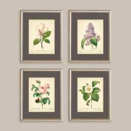 Vintage Botanical Prints Set Of 4 Flowers Posters Rose Magnolia Flower Print Art Mother's Day Gift - thumbnail 2