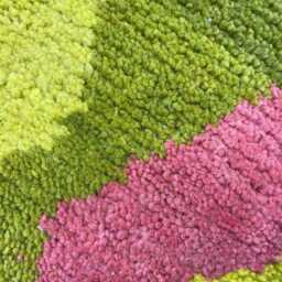 Hand Knotted Wool Berber Rug Olive Green Moroccan Area Rug - thumbnail 4