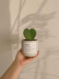 Personalized Planter, Gift For Sister, Sister Definition, Handmade Succulent Pot, Custom - thumbnail 1
