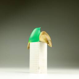 Duo Love Birds - 65 - thumbnail 4
