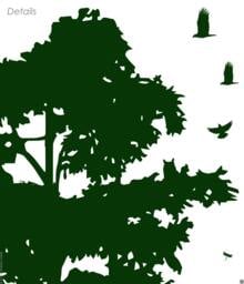 Pine Tree Forest Wall Decal - Owls, Birds, Squirrels, Fox, Hare - thumbnail 1