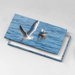 Seagulls in Gdynia Canvas, Wall Art Picture, Blue Decoration, Nature Canvas - thumbnail 1