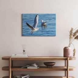 Seagulls in Gdynia Canvas, Wall Art Picture, Blue Decoration, Nature Canvas - thumbnail 3