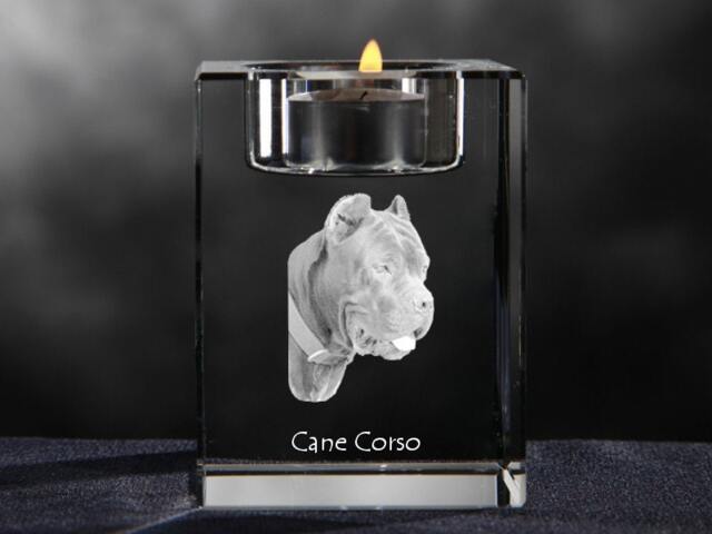 Cane Corso, Italian Mastiff, Crystal Candlestick With Dog, Souvenir, Decoration, Limited Edition, Collection - image 1