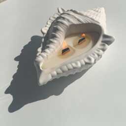 Hand Poured Conch Shell Candle Scented Soy Wax With Wood Wick - thumbnail 2