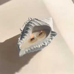 Hand Poured Conch Shell Candle Scented Soy Wax With Wood Wick - thumbnail 1