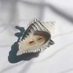 Hand Poured Conch Shell Candle Scented Soy Wax With Wood Wick - thumbnail 4