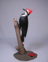 8 Inches Pileated Woodpecker Wood Bird Carving