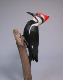 8 Inches Pileated Woodpecker Wood Bird Carving - thumbnail 3