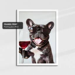 French Bulldog Drinking Wine With Sunglasses Photo Framed Poster Print & Canvas Wall Decor Art Bedroom Home Interior Gift For Pets - thumbnail 3