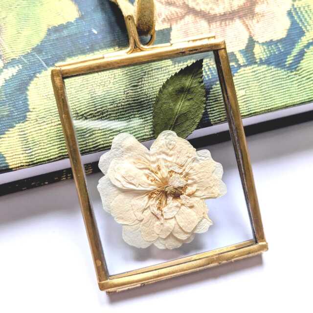 Framed Rose Cream - Pressed Flower Art, Handmade Herbarium Gift UK Made - image 1
