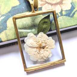Framed Rose Cream - Pressed Flower Art, Handmade Herbarium Gift UK Made - thumbnail 1