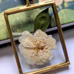 Framed Rose Cream - Pressed Flower Art, Handmade Herbarium Gift UK Made - thumbnail 2