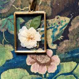 Framed Rose Cream - Pressed Flower Art, Handmade Herbarium Gift UK Made - thumbnail 3