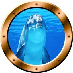 Underwater Dolphin Porthole Wall Decal Peel & Stick Mural Porpoise Art Portal Bp29 - thumbnail 2