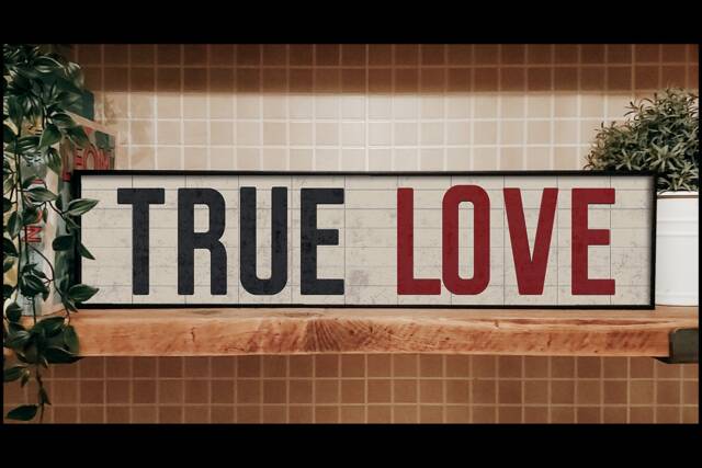 True Love Framed Metal Sign Retro Billboard Style Wall Art
