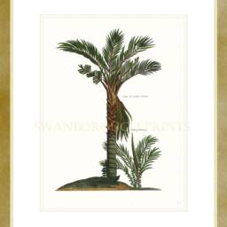 Palm Tree Wall Art Print Tropical Coastal Home Decor - thumbnail 2