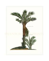 Palm Tree Wall Art Print Tropical Coastal Home Decor - thumbnail 1