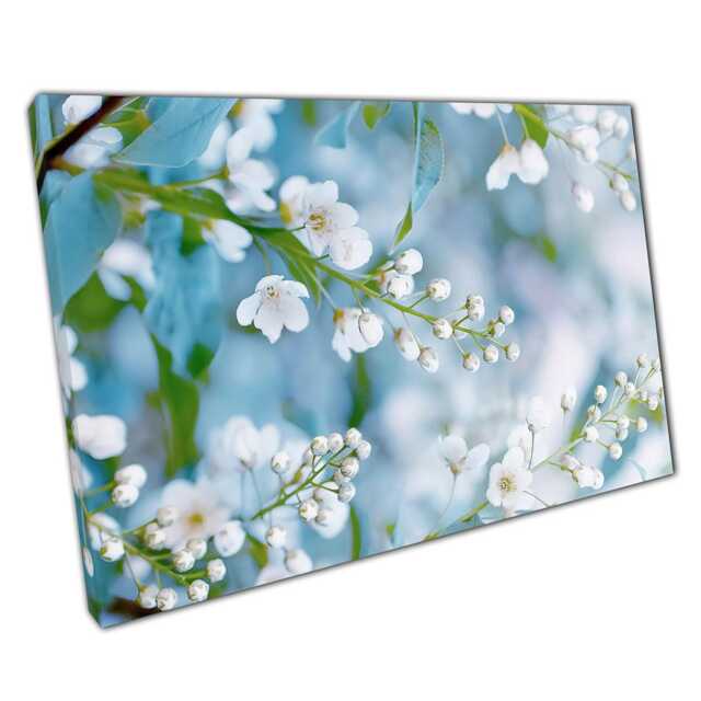 White Cherry Blossom Canvas Print Spring Bloom Soft Focus Photography Home Office D??cor - image 1