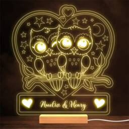 Owls Sitting On Tree Branch Valentine's Day Personalised Gift Lamp Night Light