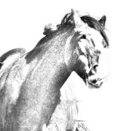 Clydesdale - Wooden Stand For Candles/Pens With The Image Of A Horse New Collection - thumbnail 2