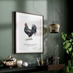Jersey Giant Cockerel Wall Art Print, Home Decor, Bird Gifts, Chicken Illustrations - thumbnail 3