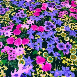 Harelquin Wildflower Meadow Velvet Emerald Cushion Cover Pillow Home Interior Deco - thumbnail 4