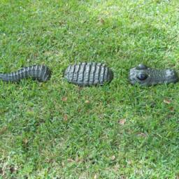 3Pc Alligator Statue 48 Inches - thumbnail 2