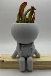 "Nurse Gift Quirky Succulent Planter ""Wee Jimmy Nae A' Heroes Wear Capes" - thumbnail 1