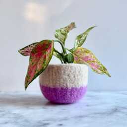 Beige & Pink Felted Wool Planter By The Felterie - thumbnail 2