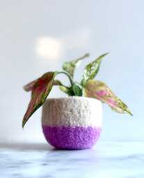 Beige & Pink Felted Wool Planter By The Felterie
