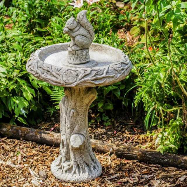 31.5' Tall Stone Cast Garden Birdbath With Squirrel, Dgs Statues - image 1