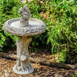 31.5' Tall Stone Cast Garden Birdbath With Squirrel, Dgs Statues - thumbnail 4
