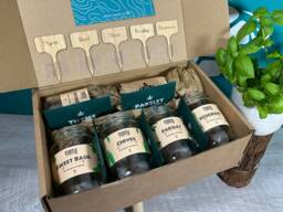 Grow Your Own Herbs Gift Set Basil, Parsley, Chives, Thyme, Rosemary