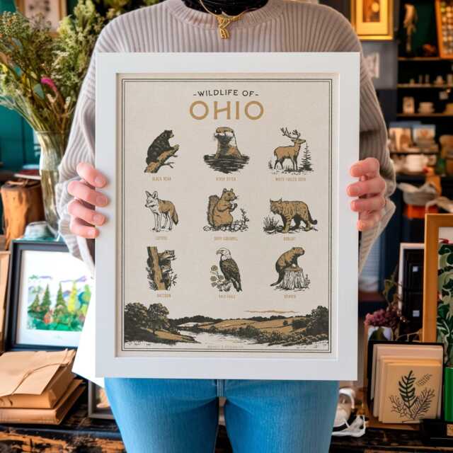 Ohio Wildlife Wall Art Print - Vintage Animal Poster Design, Archival Quality Matte Fine Art Print. Outdoor, State Gift - image 1
