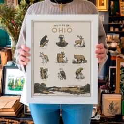 Ohio Wildlife Wall Art Print - Vintage Animal Poster Design, Archival Quality Matte Fine Art Print. Outdoor, State Gift - thumbnail 1