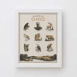 Ohio Wildlife Wall Art Print - Vintage Animal Poster Design, Archival Quality Matte Fine Art Print. Outdoor, State Gift - thumbnail 2
