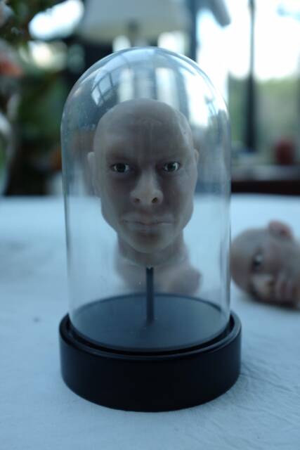 Head Under Glass, Made Of Silicone, Decorative, Cabinet Curiosities & Unusual, Unique Item - image 1