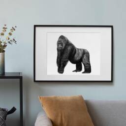 Black & White Silverback Gorilla Art // Hand Drawn Gorilla A4 Art Print, Wall Decor, Colourful Animal Art, Wildlife Conservation Gift - thumbnail 1