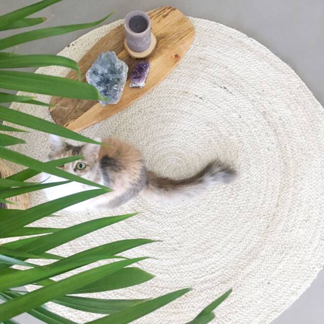 Extra Large Round Jute Rug in Warm White. Ecologic & Herb Dye Rug. Fiber Rugs. Vegan Organic Feng Shui Home - image 1