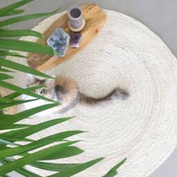 Extra Large Round Jute Rug in Warm White. Ecologic & Herb Dye Rug. Fiber Rugs. Vegan Organic Feng Shui Home - thumbnail 1