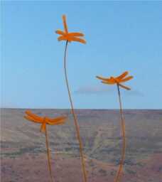Rustic Metal Dragonfly Garden Sculpture Tall Handmade Steel Art Decoration