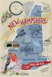 New Hampshire State Pillow With Feather Insert - thumbnail 4